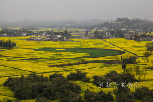 解密潼南的陈抟故里景区，来这里观赏油菜花海已成了水陆空全覆盖