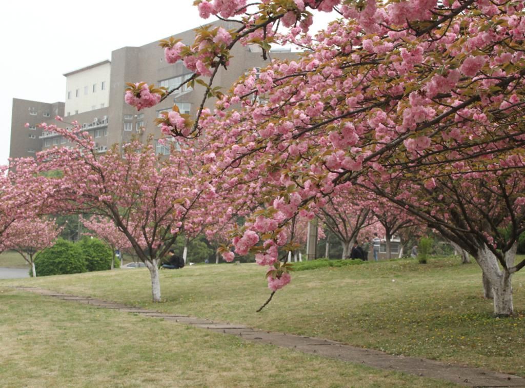 保研名额|非常容易“保研”的3所大学，考上不用发愁读研，一半学生都保了