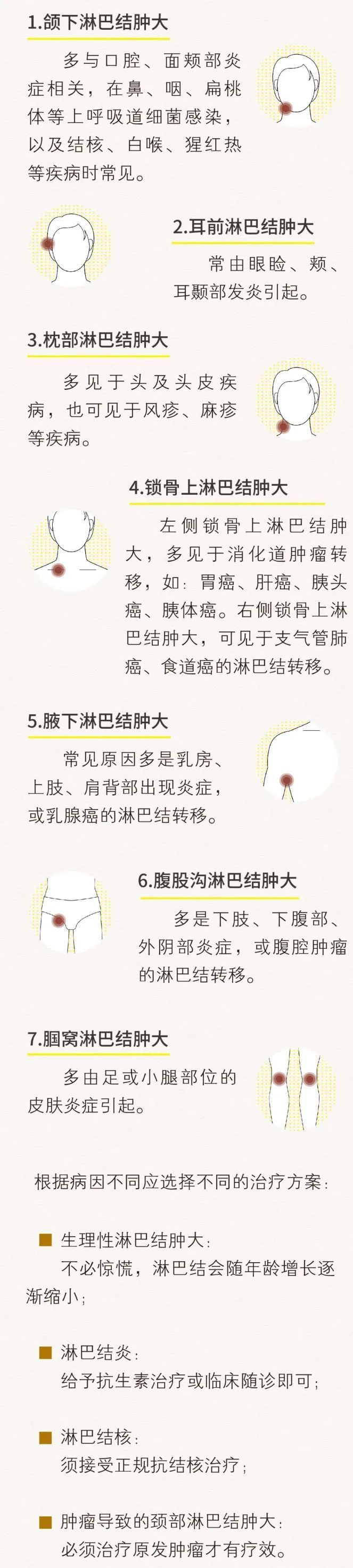 淋巴液|潍坊市中医院专家为您解答：我摸到淋巴结，是“不祥之兆”吗？