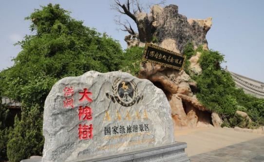 地方|我们祖先可能都来自一个地方:一棵大槐树下,812个姓氏大迁徙