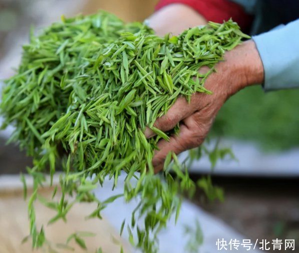 好处|“宁可三日无食，不可一日无茶”喝茶到底对身体有什么好处？