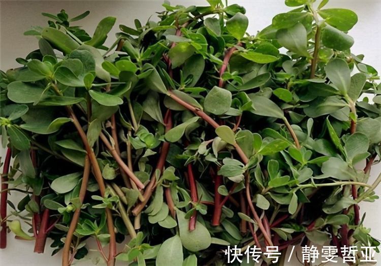 食物|聪明人爱吃3种食物，排毒养颜、延缓衰老，早吃早健康！