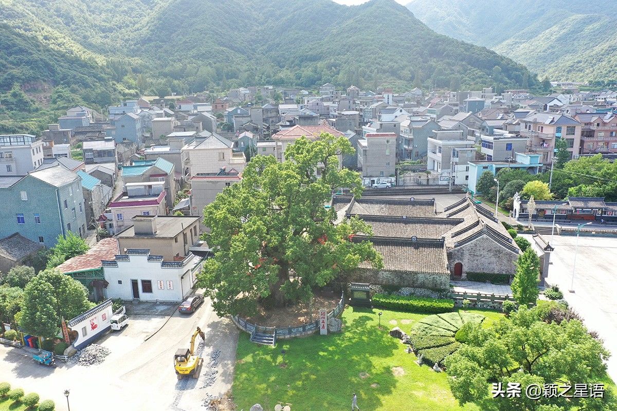 玻璃桥|有山有海有草原，全域旅游象山东陈乡，人文风景荟萃