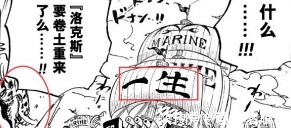 奴隶|海贼王:当女帝被藤虎活捉后,落到天龙人手里,路飞或推翻天龙人