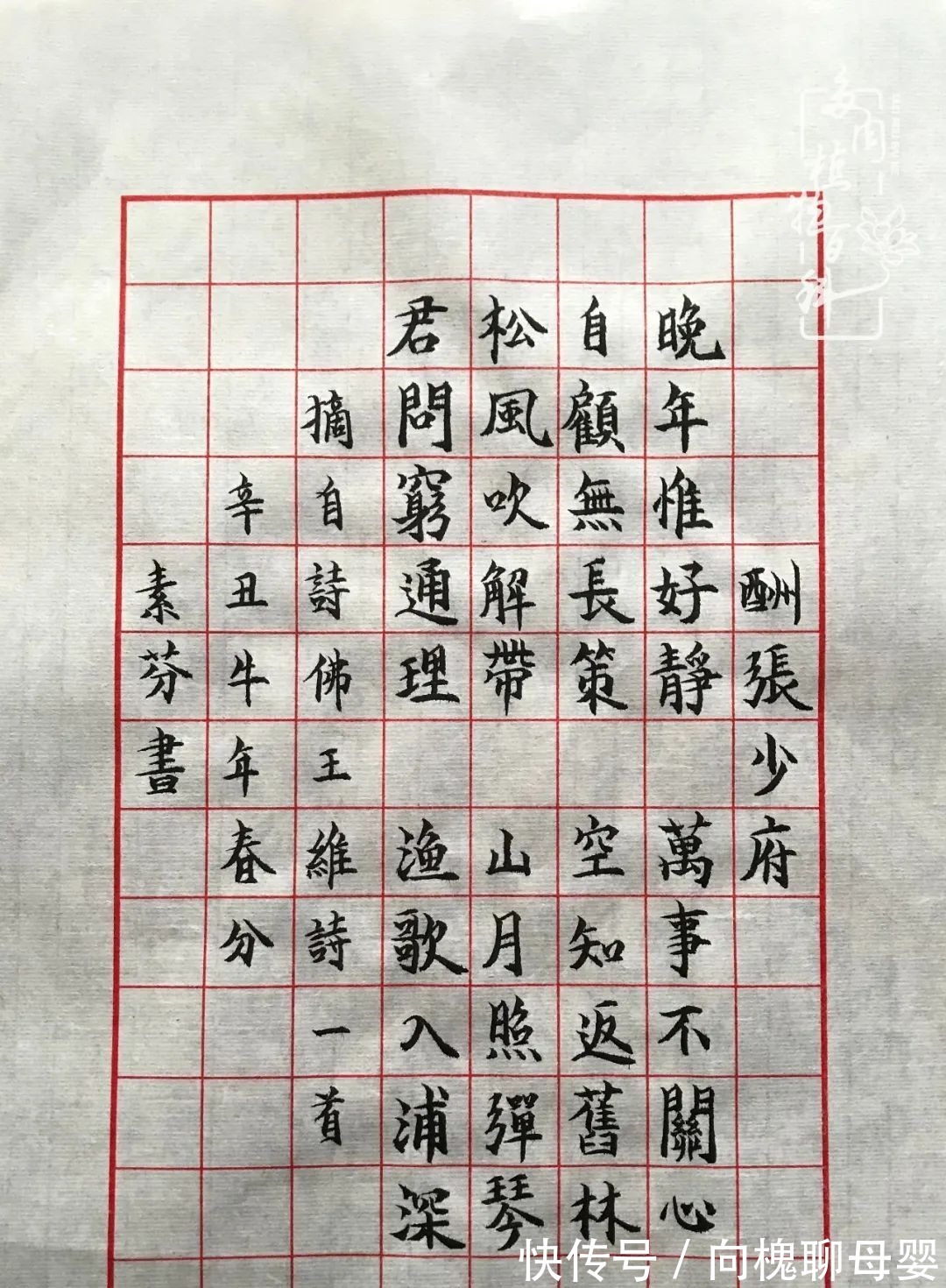 一种爱好就是一种境界,养花养多肉可以培养一个人的心境!