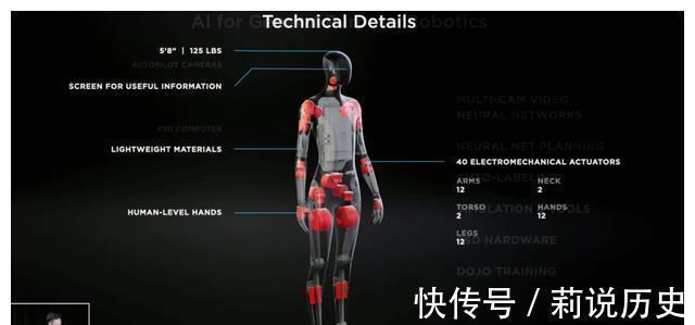 d1|马斯克人形机器人的新突破在哪里？中国需迅速追赶｜专访浙江之江