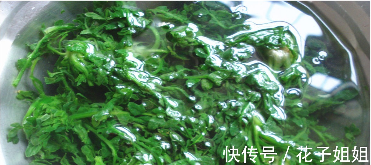 小时候|入秋后，碰见这菜别手软，一次性买15斤，放冰箱冻起来，特别省事！