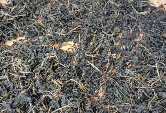 蒲公英醇|自己“晒干”的蒲公英,能用来“当茶”喝吗七大功效须知道!