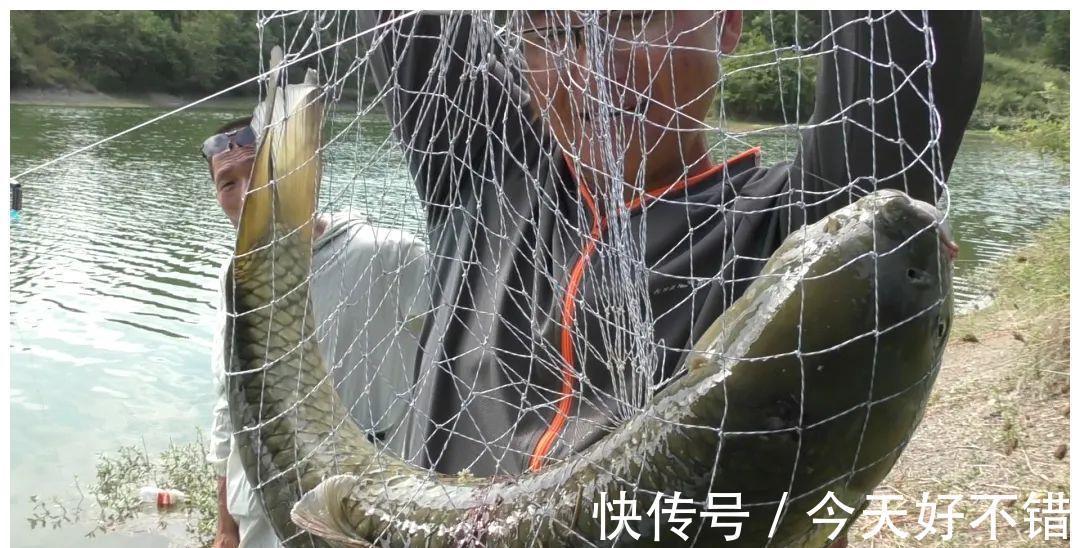 钓龄越长鱼竿越短?野钓,竿越长你越强!