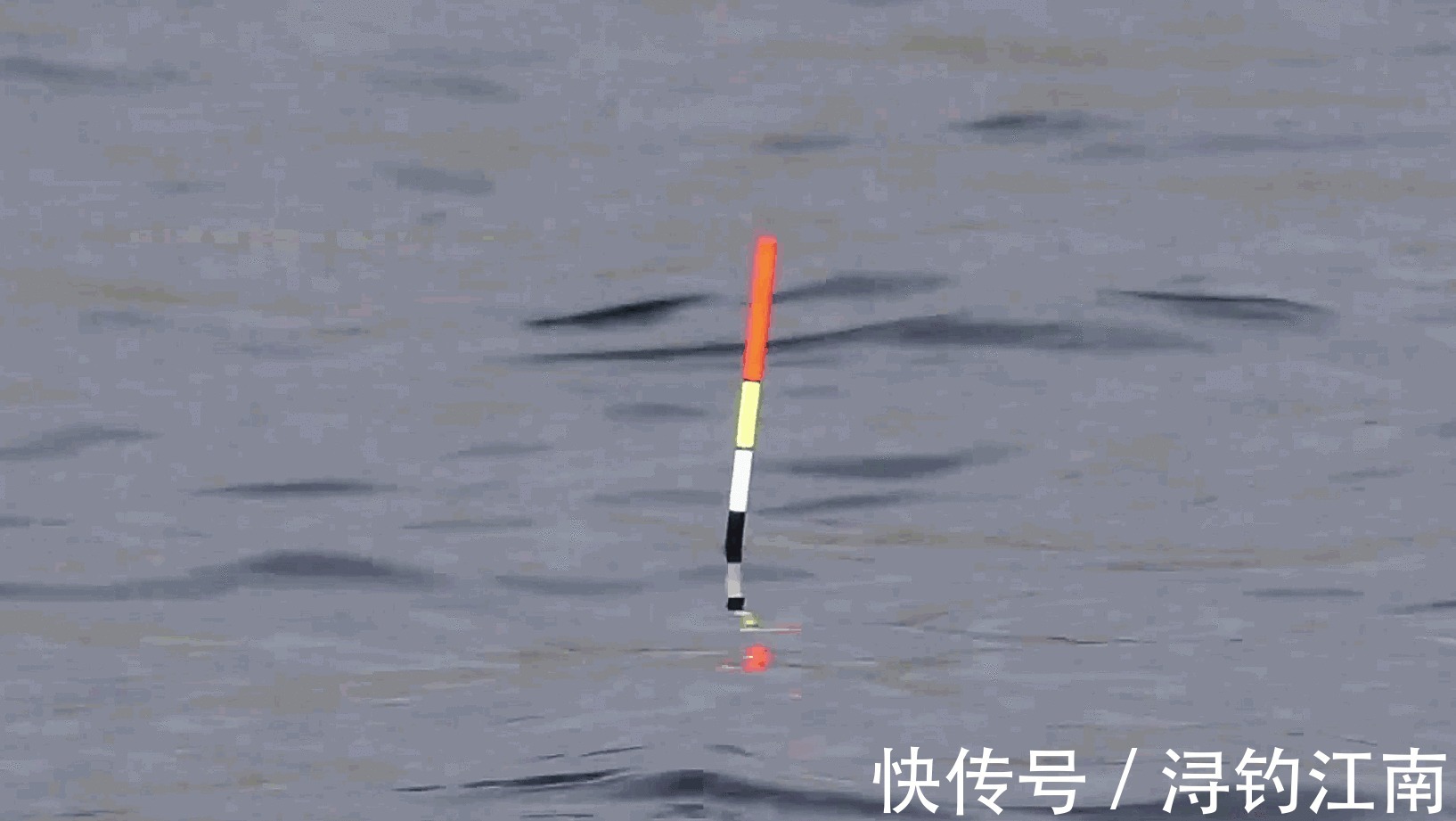 顶漂|出现“顶漂”却不中鱼的几点原因,知道的人可不一般呐,莫不信