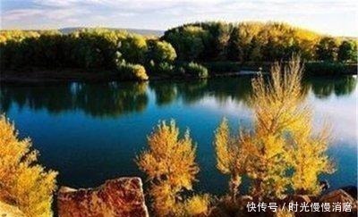 太精明的男人,格局都不大!(深度好文)