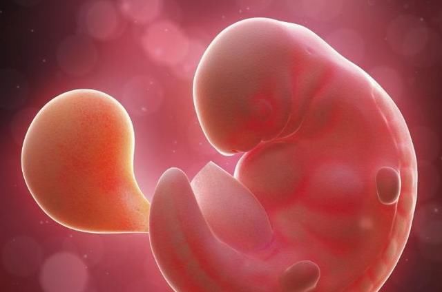 爸妈|怀孕50天做孕检，医生告知是“空孕囊”，准爸妈都要当心了！