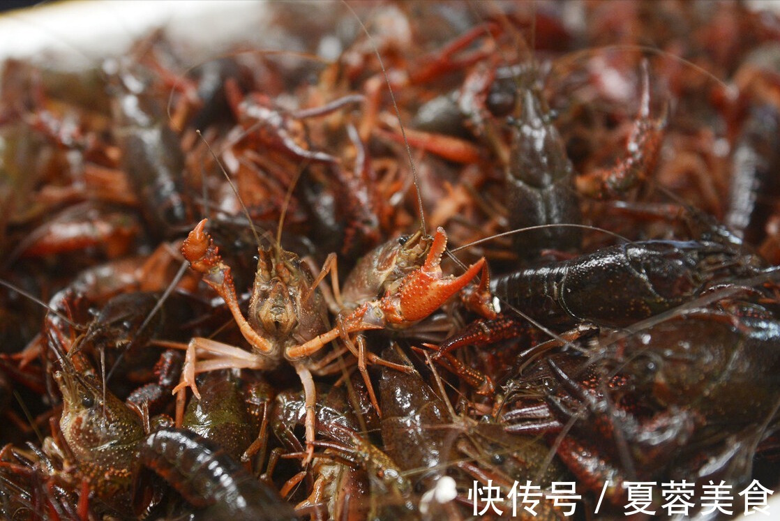小龙虾不管怎么做,清洗很关键,教你一招,洗得干净,吃着放心