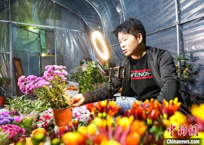 江苏|江苏“花乡”将诚信经营写入“村规”助力农村电商健康发展