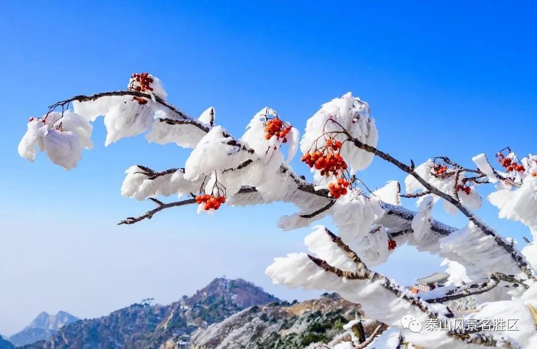 老年|跟随姚鼐的散文《登泰山记》冬览泰山