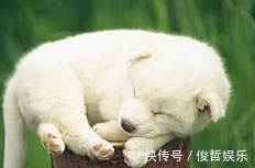 我们的日子|经常失眠不用怕，常吃此2种小零食，安神、补气血，自然睡得香