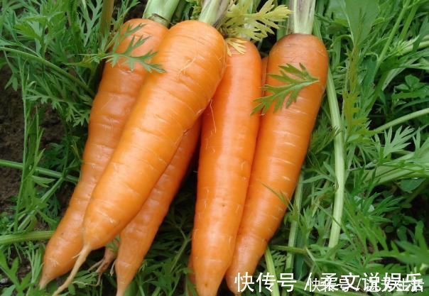 咸菜|舌尖上的“避孕药”,却是多数女性的最爱,难怪肚子迟迟没反应