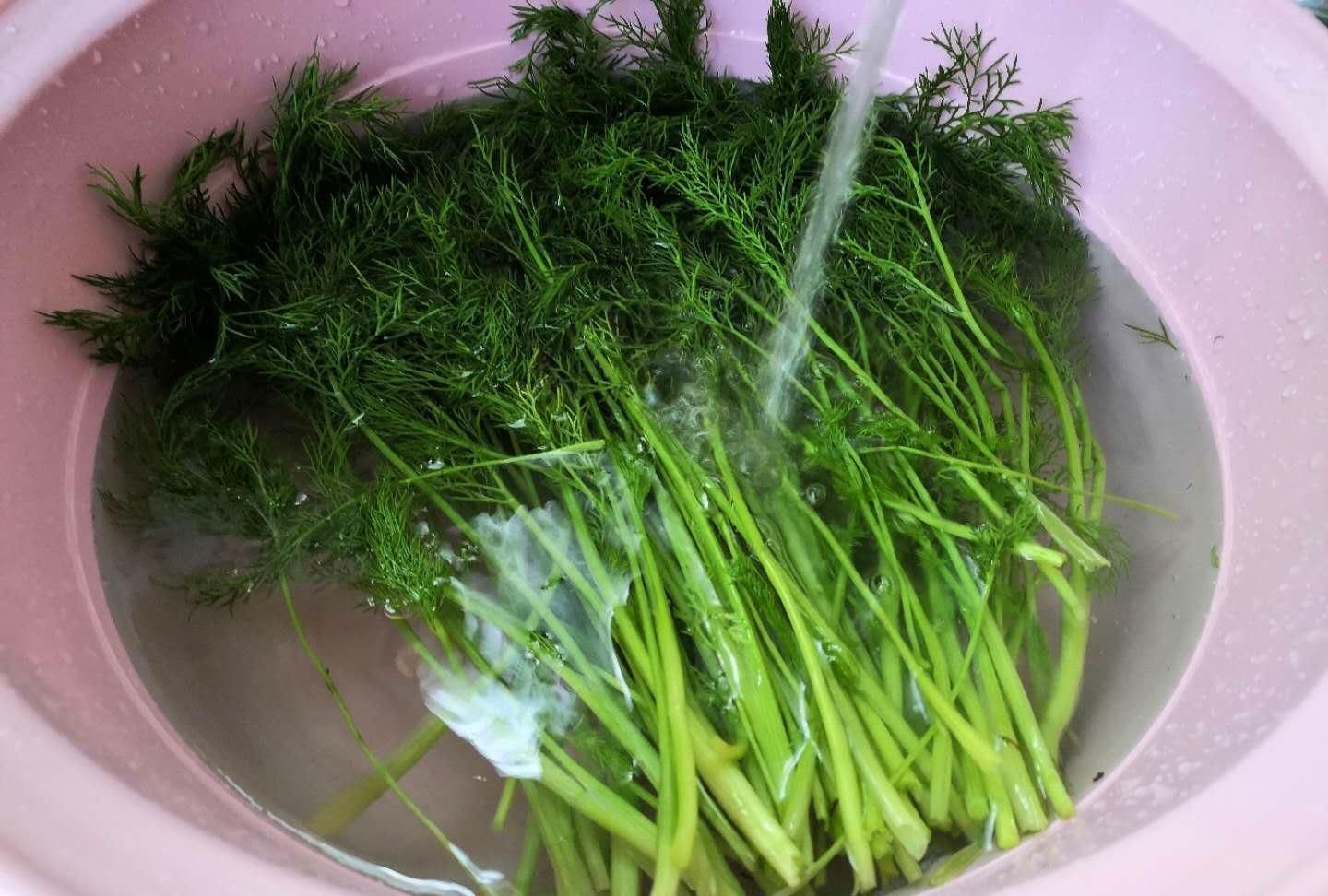 藏在身边的“养胃药”，是药也是菜，每天吃点，肠胃越来越健康