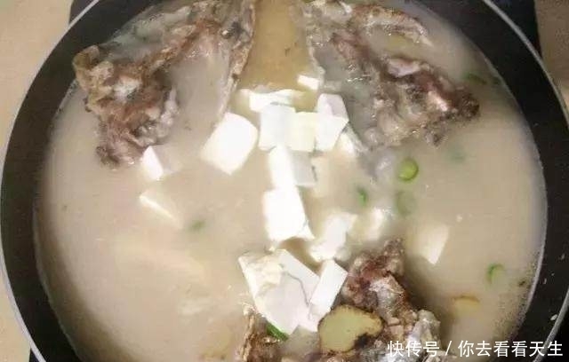  熬出|用豆腐和它熬出的汤超级好喝