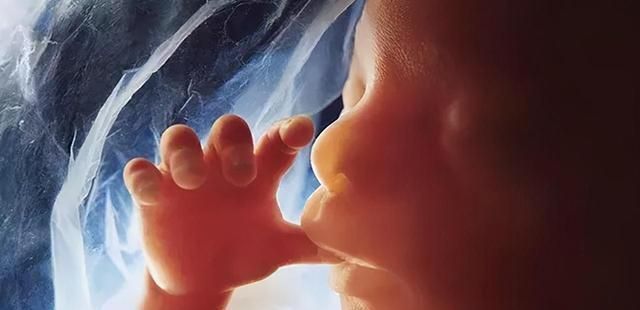 反应|怀孕后,从身体的这四个反应中,看羊水的质量好坏,孕妈要会辨别