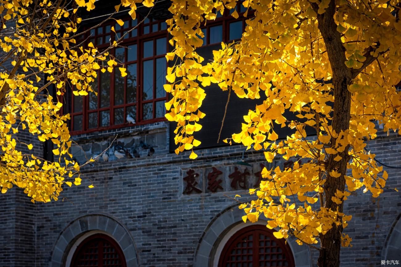  六人行|诗意 · 江湖，六人行