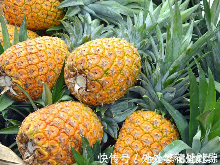 奶酪|牛奶和鸡蛋不要放在冰箱门里18种错误储存食品和食材的方法