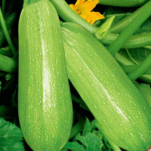 西葫芦|入冬后，坚持每天食用此菜，肤色亮了，肾变好了，男女不可错过