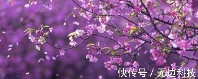 追忆!李煜一首追忆之作,其中一句脍炙人口,不少人会不由自主唱出来