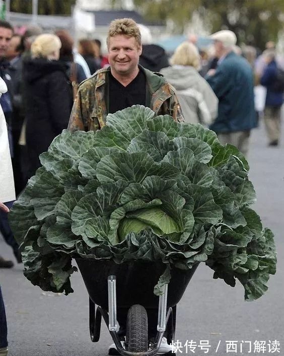 你绝对没见过的奇特的瓜果蔬菜!大开眼界!