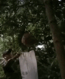 |搞笑GIF段子:就佩服这话作死却一往无前的勇气