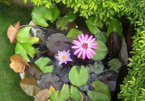 庭院|真正有钱的人,都喜欢造中式庭院,风雅还显品味,美的像桃园一样