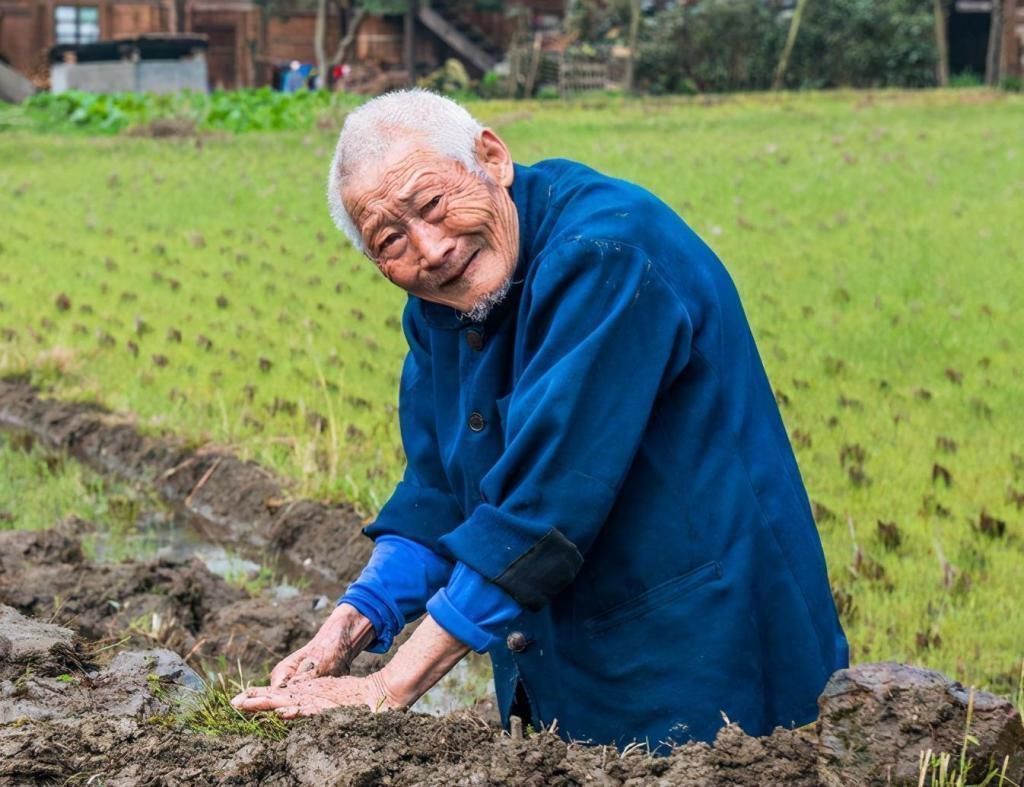 巴马|103岁老人，年轻像50岁，长寿秘诀不是多运动，而是这3件事