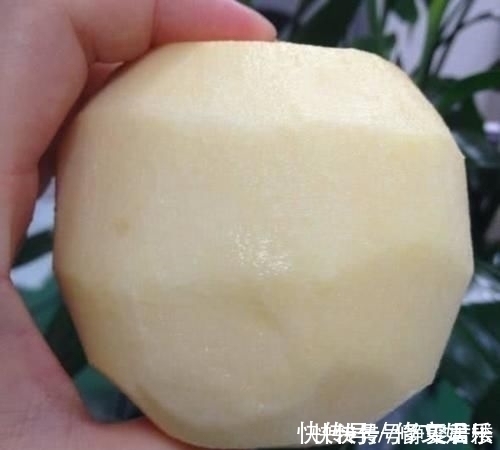 西瓜|去掉果壳的水果，认出西瓜和橘子不难，图5得看20遍才能认出