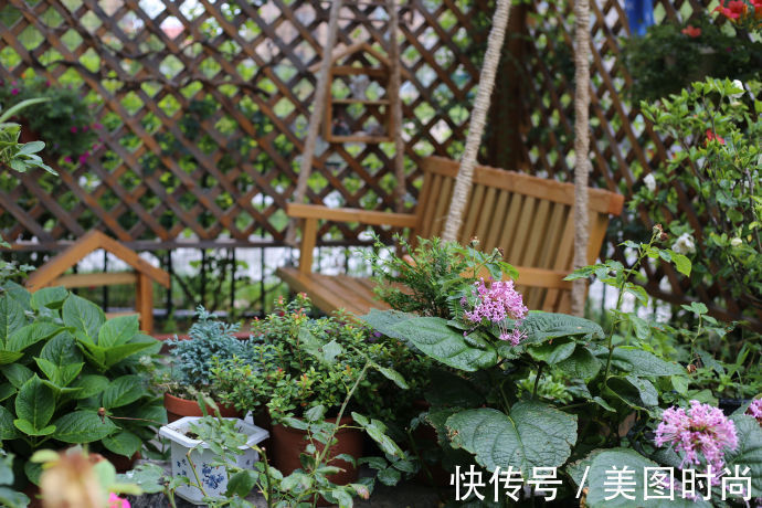 阳台上|为建花园,不顾反对买了一楼带院子,3年的亲手布置朋友都羡慕了