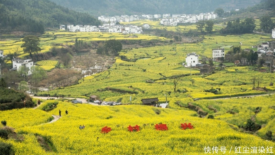 油菜花哪都有，婺源还要掏钱？路人却说：800公里驱车，不虚此行