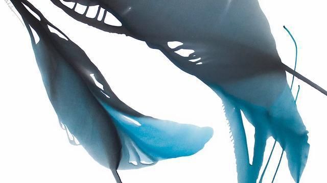 乌克兰|乌克兰艺术家安东·索科洛夫的水、彩画