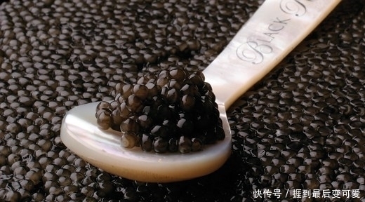 食物|它被称为食物中的“黑黄金”,吃一口相当于吃掉一套房子