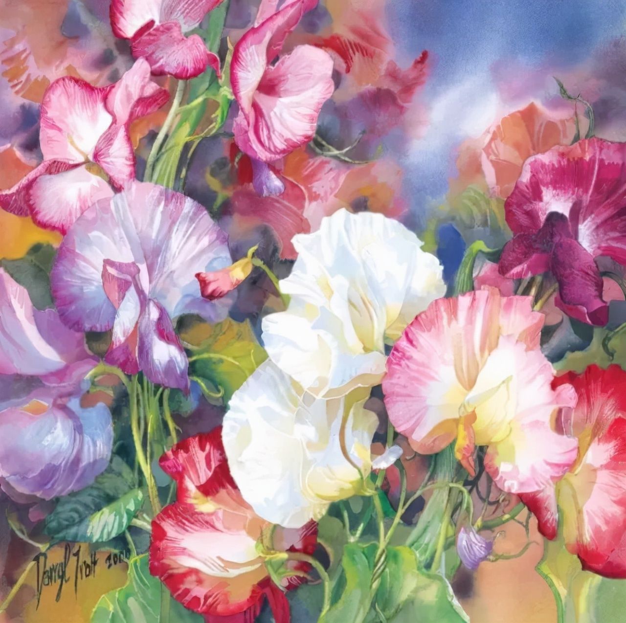 水彩&水彩画欣赏：澳大利亚水彩画家30张水彩花卉，动人