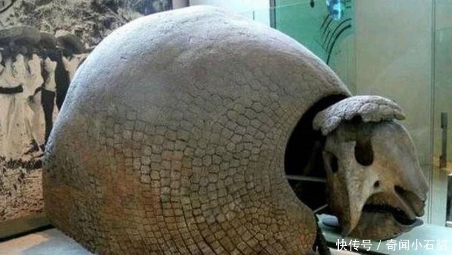 洞穴|小伙野外“钓鱼”,发现一个洞穴很奇怪,走进一看,值多少钱啊?