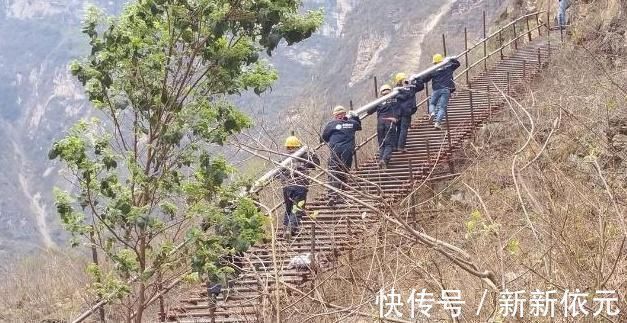 委屈|沙雕动画,搞笑:为了儿子的爱情,当爹的就委屈一下吧!