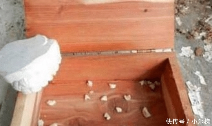 家长们|孩子七岁时候的乳牙,家长们不要乱丢,关键时刻能救孩子一命