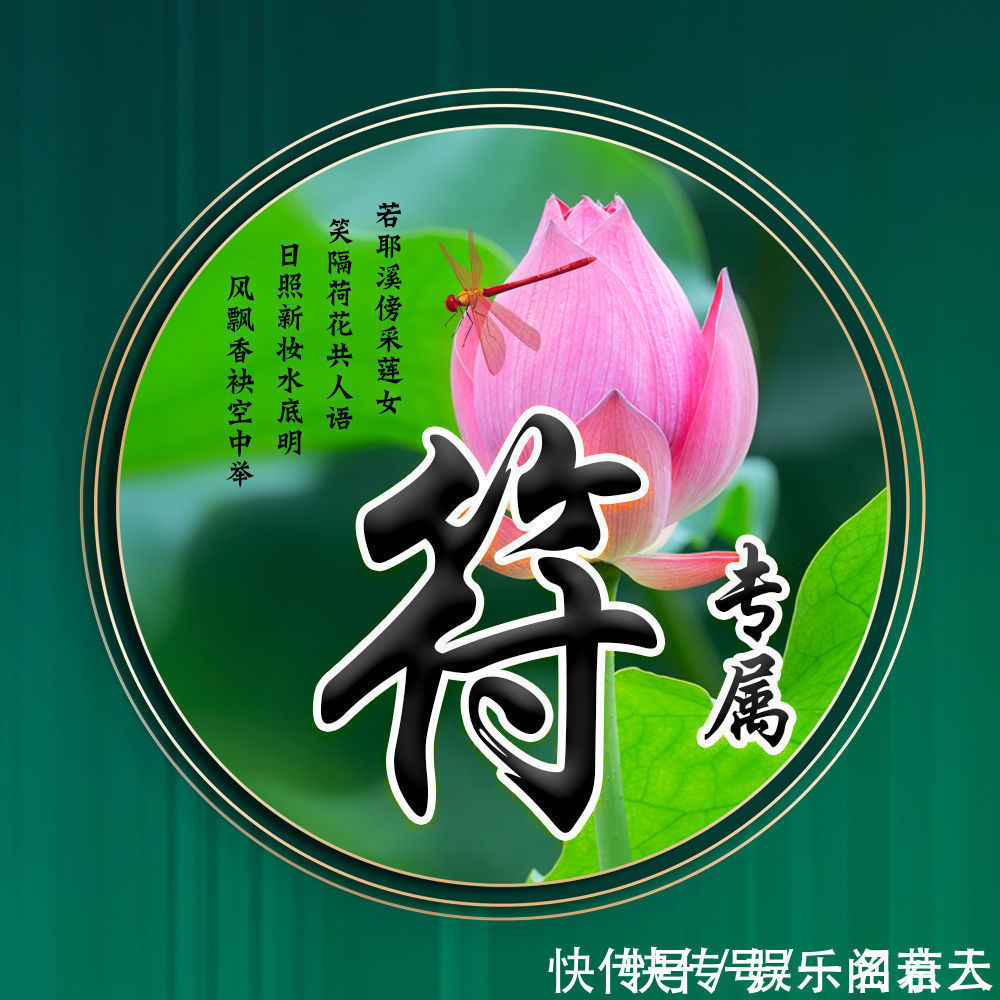 世人大!用你的姓氏当头像,20张唯美荷花大气图片,中国风华丽登场