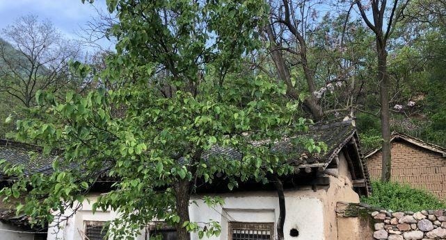 房子|俗话说“两门相对,必有一退”,那么哪家退呢?强弱该如何判断?