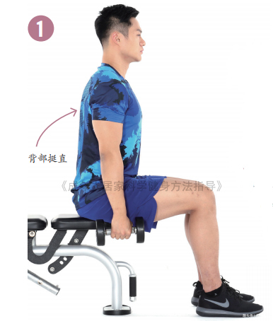 肌群|干货!要想练就完美的“倒三角”身材,决不能忽视肩部训练!