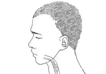 水湿|“养好脾 病不生”八大健脾方法，健脾补气，让你精力充沛