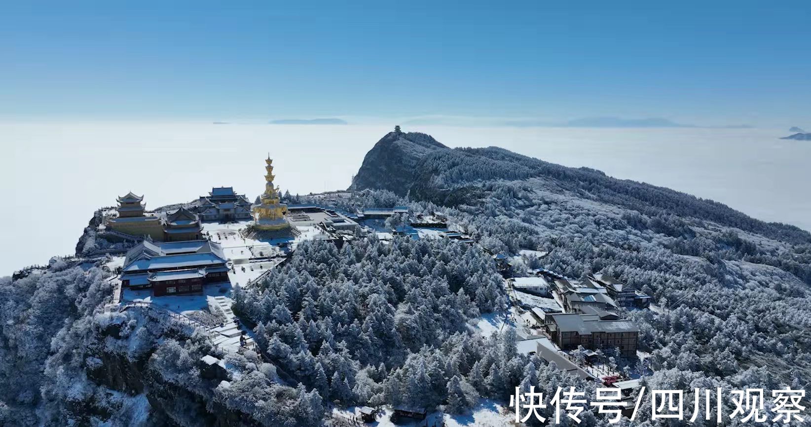 中国女足|峨眉山、乐山大佛、蜀南竹海……四川这些景区对中国女足免费开放