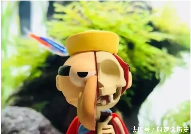 身体构造|海绵宝宝:海绵宝宝手办“出其不意”,只有半个身体,全是“骨感美”!