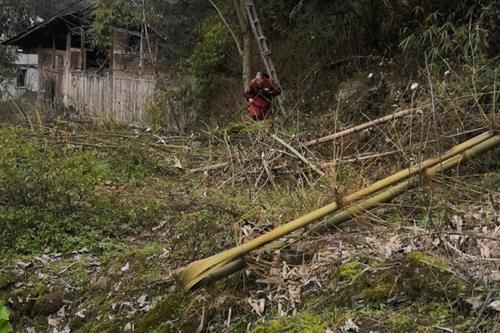  农村|专家说“农村土灶”有污染，我反对