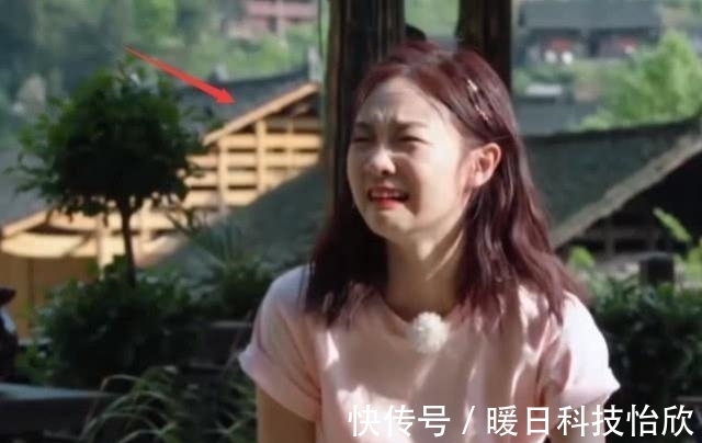 過敏|《向往3》李子璇吃豬肉過敏，吃完臉紅還“很嗨”？黃磊何炅不敢相信