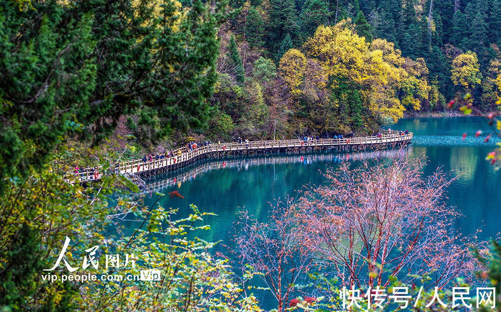 秋景|四川阿坝：九寨沟秋景迷人